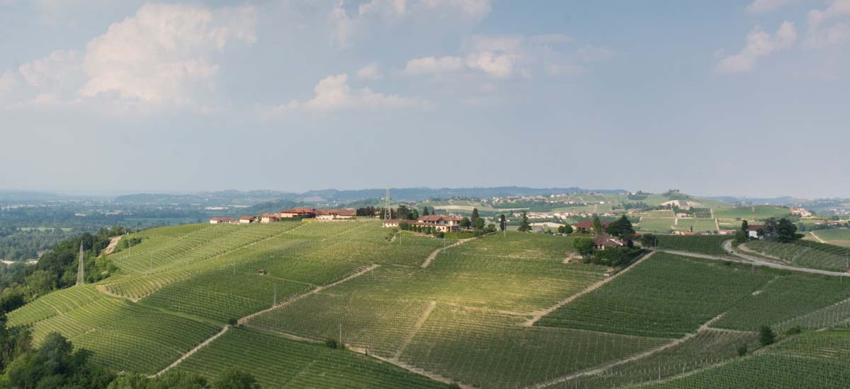DSC_0450